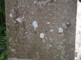 image of grave number 831723